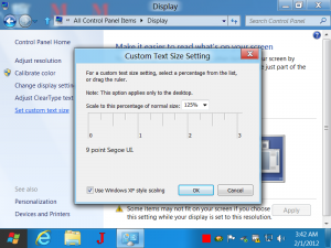Custom Text Size on Windows 8